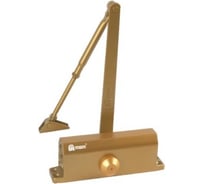 Доводчик МСМ D100KG GP Золото 00000000478