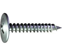 Самонарезающий винт с острым концом Grabber PH2 4,2х14 мм белый цинк 10000 шт. WS-14