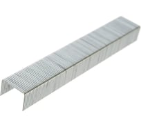 Скобы для степлера Pro Legend №53, 12 мм, 2 упаковки PL4790-2