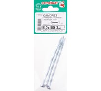 Универсальные саморезы Стройбат полукруглая головка 5,0x100 белый цинк 3 шт. 056741