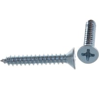 Саморез КВАДРА DIN 7982, 2.9x9.5 цинк, уп. 100 шт., потай, шлиц PH1, острый 822995100812