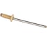 Заклепка КРЕП-КОМП алюминий/сталь крашенная 3,2x8 RAL1015, 100 шт. KENNER-SRC зк3281015мф 1