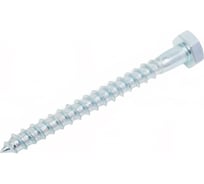 Шуруп глухарь по дереву 23 БОЛТА 10x100 мм, 10 шт. B05001010034R07