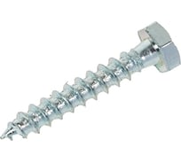 Шуруп глухарь по дереву 23 Болта 6x35 мм, 10 шт. AB9000603533G07