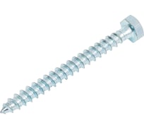 Шуруп глухарь по дереву 23 БОЛТА 6x60 мм, 10 шт. B05000606035007