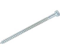 Шуруп глухарь по дереву 23 Болта 6x100 мм, 10 шт. B05000610032G0Ф