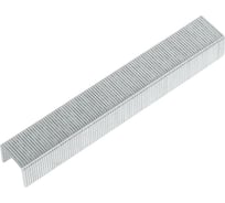 Скобы ДЛЯ ДЕЛА упаковка 1000 шт. ДД-СС-053-10