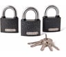 Навесные замки Apecs PD-01-50-Blister 3Locks+5Keys 28741