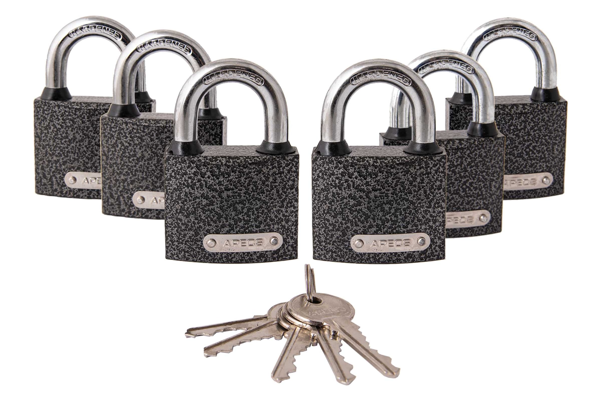 НавесныезамкиApecsPD-01-50-Blister6Locks+5Keys28742