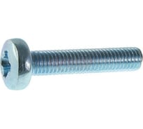 Винт АО "КЗЭМИ" М6-6gх16.48.019 ГОСТ 17473-80 П0000006096