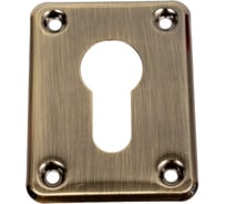 Декоративная накладка Apecs DP-01-C-AB 19038