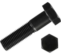 Болт 23 БОЛТА М16x100 мм, DIN931, высокопрочный к.п.12.9 черный, 5 шт б12993116100