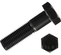 Болт 23 БОЛТА М14x70 мм, DIN931, высокопрочный к.п.12.9 черный, 10шт. 2000000624310
