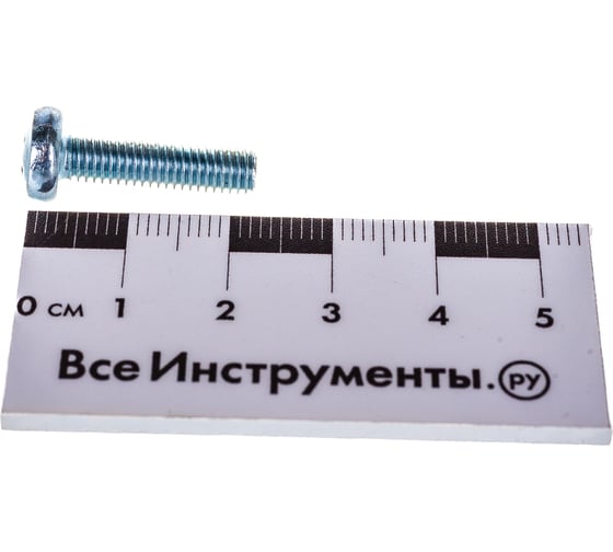 Винт Стройметиз М5х20 DIN 7985, полукруглая головка, цинк уп. 12 шт 3101451