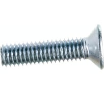 Винт Стройметиз M5х20 DIN 965, потайная головка, цинк уп. 12 шт 3091451