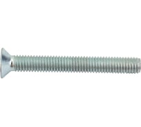 Винт Стройметиз M5х40 DIN 965, потайная головка, цинк уп. 8 шт 3090881