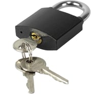 Замок навесной Политех Бункер-3,ст,38 мм 8117038