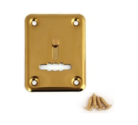 Декоративная накладка Avers DP-01-S-G-shutter 20474