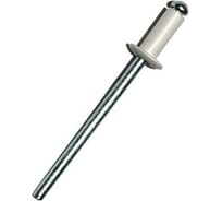 Заклепка 23 Болта вытяжная 3,2x8 алюминий сталь RAL9003,белая, 50 шт. B52003208093N07ф50
