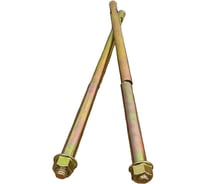 Анкерный болт с гайкой 23 Болта 12x300 мм (2 шт.) B11001230061407