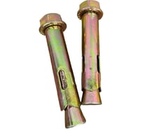 Анкерный болт с гайкой 23 Болта 20x110 (107) мм (2 шт.) B11002011061007