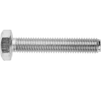 Шестигранный болт EKF М10х30 TDZ 600 шт. b6grm10x30-TDZ