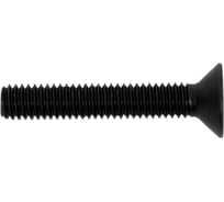 Винт 23 Болта потайной под шестигранник 6x35 DIN7991 класс прочности 10.9,  10 шт. впш635пр