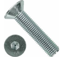 Винт 23 Болта потайной 5x10 под шестигранник ОЦ DIN7991, класс прочности 8.8 10 шт. впш510ф