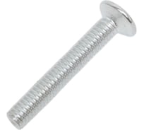 Винт 23 Болта потайной оцинкованный 4x25 DIN965, 100 шт. 22055