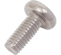 Винт 23 БОЛТА нержавеющий 5x12 мм РН DIN7985, 50 шт. 11170