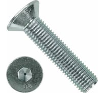 Винт 23 Болта потайной 6x8 под шестигранник ОЦ DIN7991, класс прочности 10.9 10 шт. впш68нф