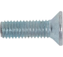 Винт 23 Болта потайной оцинкованный 5x16 DIN965, 100 шт. 22061