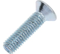 Винт 23 Болта потайной оцинкованный 8x30 DIN965, 10 шт. вп830мр