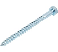 Сантехнический шуруп Стройметиз 10х120 DIN 571 цинк уп. 10шт. коробка 2170924