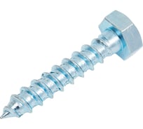 Сантехнический шуруп Стройметиз 10х50 DIN 571 цинк уп. 2 шт. европодвес 2170851