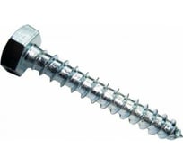 Сантехнический шуруп Стройметиз 6х40 DIN 571 цинк уп. 50 шт. коробка 2170453