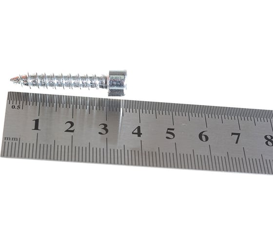 Саморез Mebax 6 мм 100шт/уп, 00-00000160