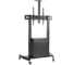 Стойка Digis DSM-P2106CB мобильная для ТВ 55"-100" до 100 кг с рэком для оборудования, VESA до 1000x600мм, наклон -10/+5 изменение высоты ТВ, полка для камеры 0 46402 2