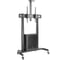 Стойка Digis DSM-P2106CB мобильная для ТВ 55"-100" до 100 кг с рэком для оборудования, VESA до 1000x600мм, наклон -10/+5 изменение высоты ТВ, полка для камеры 0 46402 5