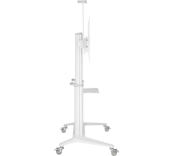 Стойка Digis DSM-P7106C мобильная для ТВ 55"-100" до 140 кг, VESA до 1000x600мм, Алюминий, белая, наклон -10/+5 61096 061096