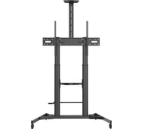 Стойка Digis DSM-P1106CH мобильная для ТВ 55"-100" до 100 кг, VESA до 1000x600мм, наклон -15/+5 36578 036578