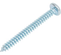 Шуруп STARFIX 4.8x45 мм, полусф. головка, белый цинк, острый, DIN 7981, 20 шт. в зип-локе SMZ2-43305-20