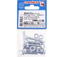 Винты Стройбат пот. DIN 965 М6x30 с гайк. и шайб. белый цинк 6 шт. 204201