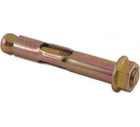 Анкерный болт с гайкой Саморезик 10х150 5 шт AN/B/G-10х150-5