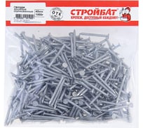 Ершеные гвозди Стройбат 40 мм белый цинк 1 кг 117220