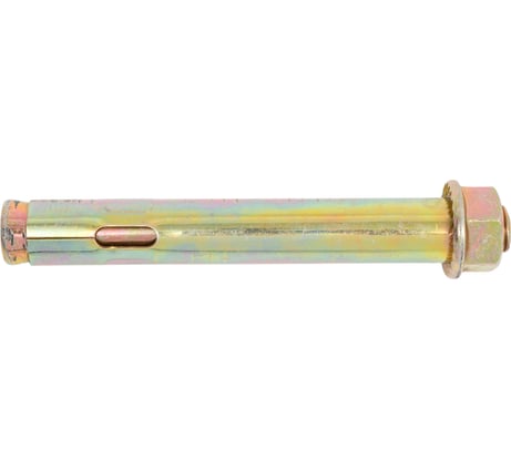 Анкерный болт с гайкой Саморезик 20х150 1 шт AN/B/G-20х150-0