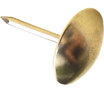 Декоративные гвозди Стройбат 9,5 мм латунь 50 шт. 072771