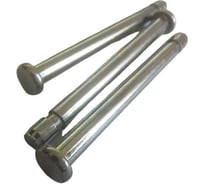 Штифт цилиндрический прямой с одной проточкой ТРИЗАМ 4,8x60 мм  сталь оцинкованная, 100 шт. TRZ0534