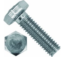 Болт ПАРТНЕР DIN933 12x70 мм, с шестигранной головкой, полная резьба, 8.8, ZN, 2 шт., пакет ФАС 1071 2 71