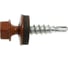 Саморез Haupt 4,8x29 мм, крашеный, 250 шт., медно-коричневый (RAL 8004) 4673729050562 1